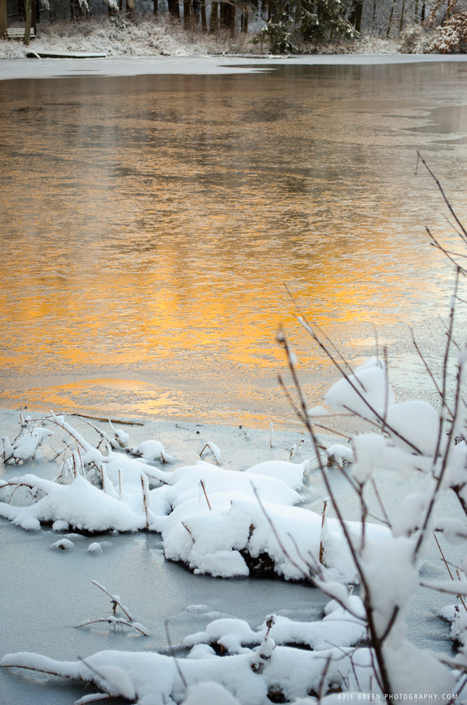 Charles River with glow from morning light, frozen